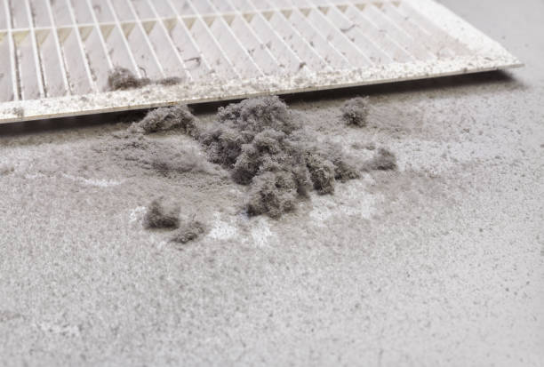 Best Dryer Vent Cleaning Services  in Great Neck Gardens, NY