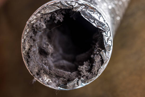 Best Residential Air Duct Cleaning  in Great Neck Gardens, NY