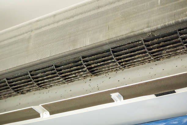 Best Air Duct Cleaning Near Me  in Great Neck Gardens, NY